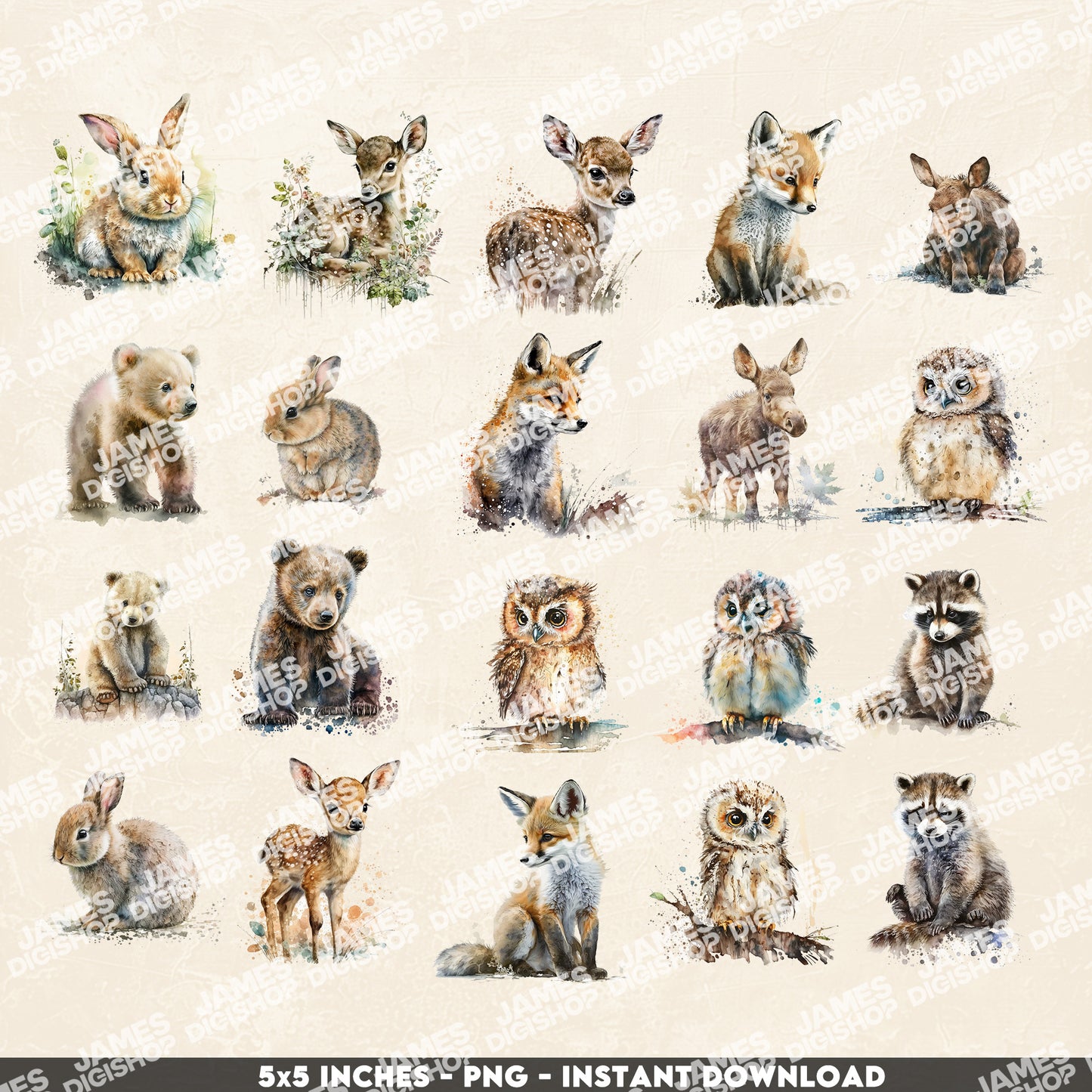 20 Woodland Animals Clipart