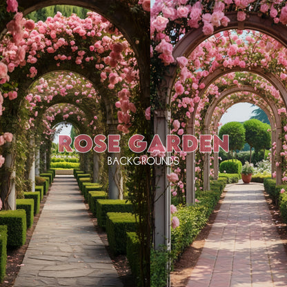 Rose Garden Background Bundle